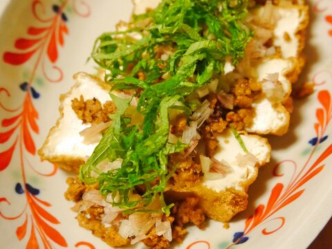 簡単一品!厚揚げの薬味たっぷり肉味噌のせ